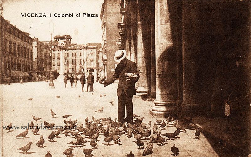 I colombi di Piazza dei Signori