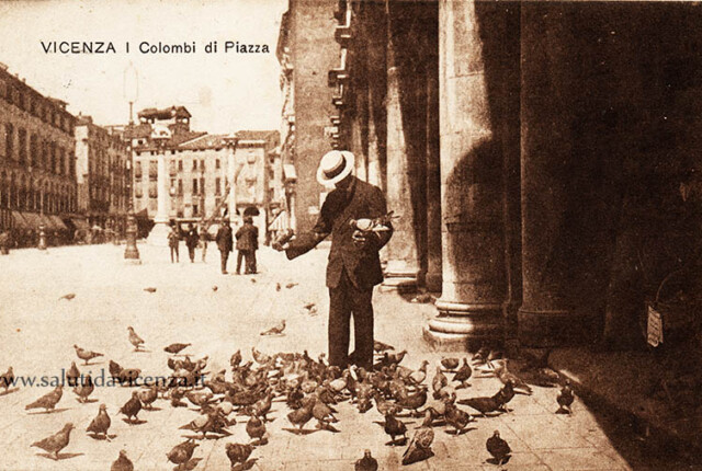 In Piazza dei Signori era di moda offrire cibo ai colombi, fino al divieto approvato negli anni '90 I colombi di Piazza dei Signori