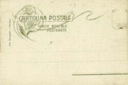 Raffinati elementi floreali in una cartolina postale dei primi anni del Novecento. Cartolina antica stile Liberty